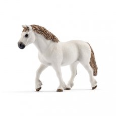 Welsh Pony Merrie
